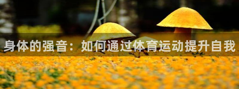 3377体育官网下载平台假的吗是真的吗吗:身体的强音:如何通