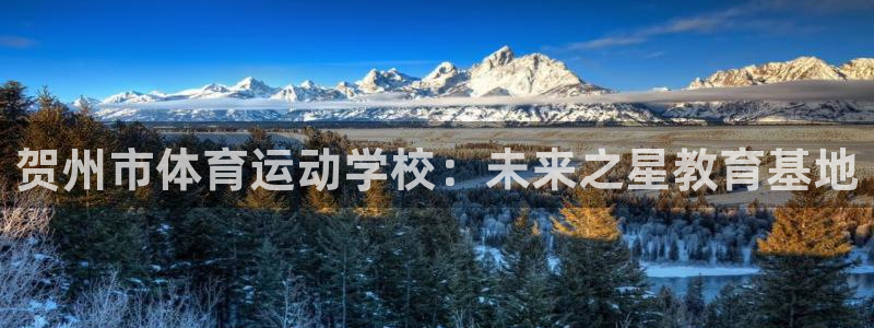 3377体育官网下载平台注册要钱吗是真的吗:贺州市体育运动学