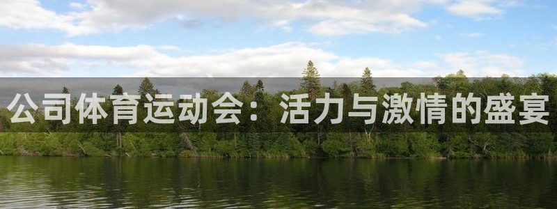 3377体育官方正版app娱乐40996:公司体育运动会:活