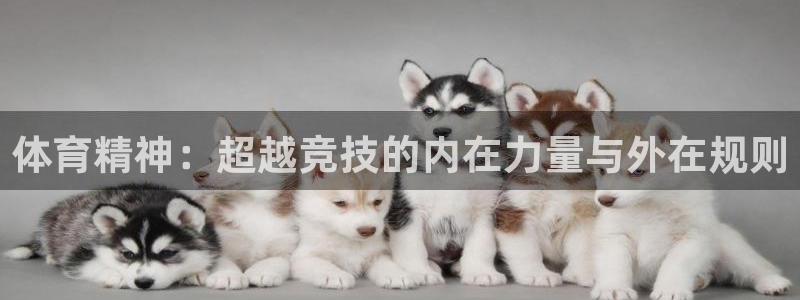 3377体育官网下载平台注册要钱吗是真的吗:体育精神:超越竞